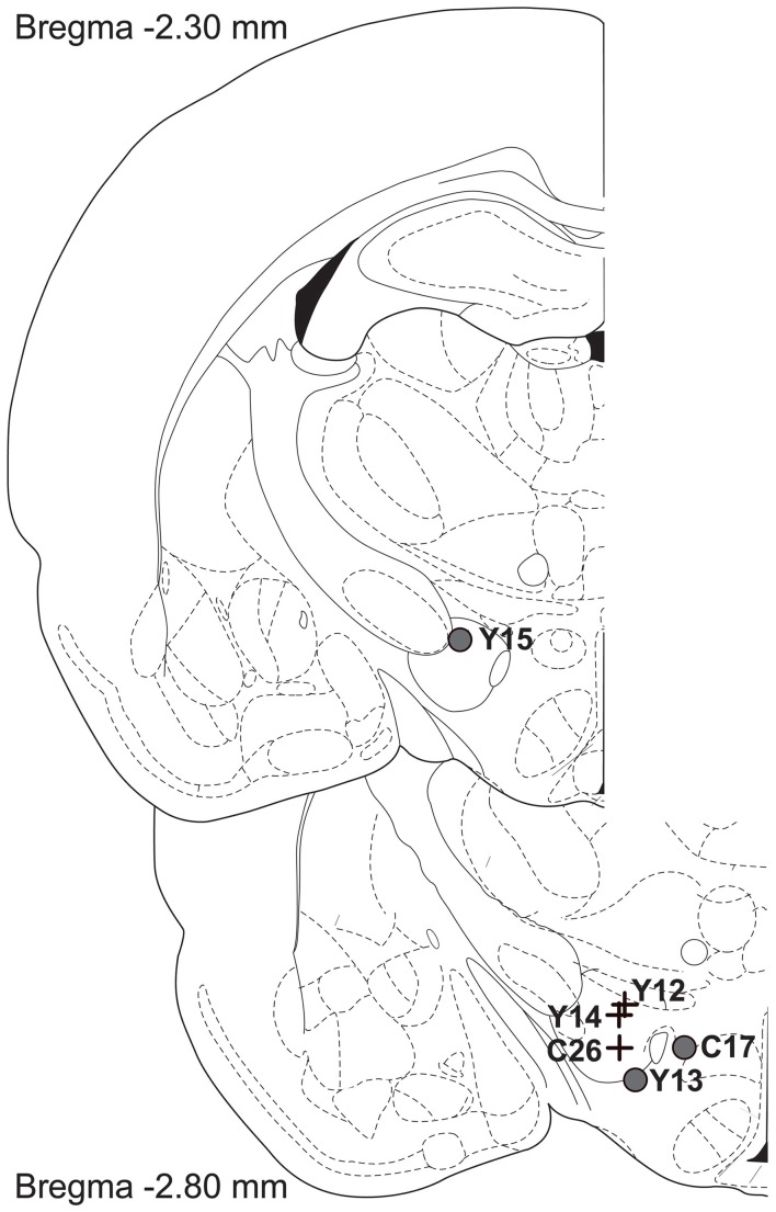 Figure 10