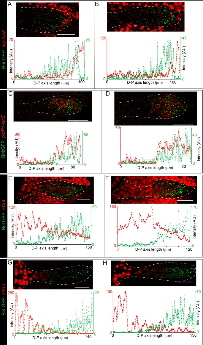 Figure 6—figure supplement 2.