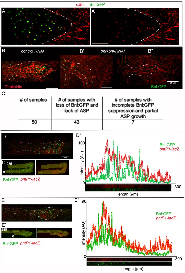 Figure 1—figure supplement 2.