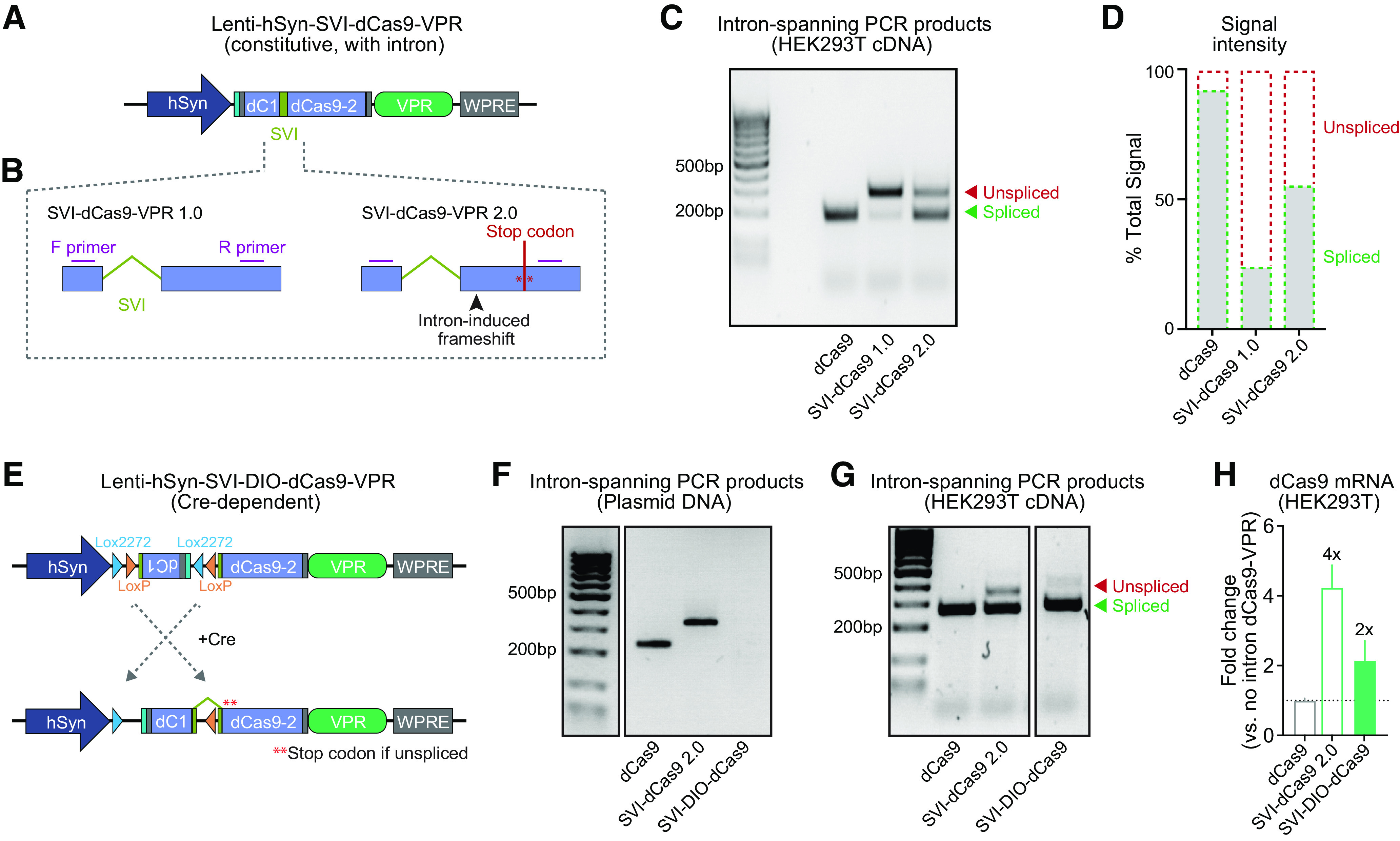 A Cre-Dependent CRISPR/dCas9 System for Gene Expression Regulation in ...