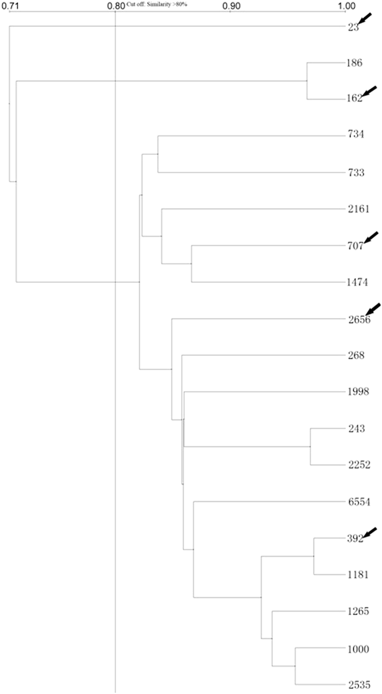 Fig. 1