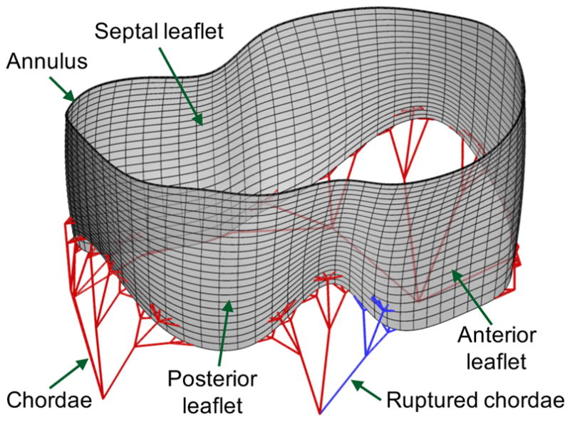 Figure 12