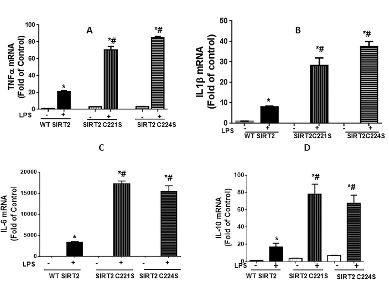 Figure 5: