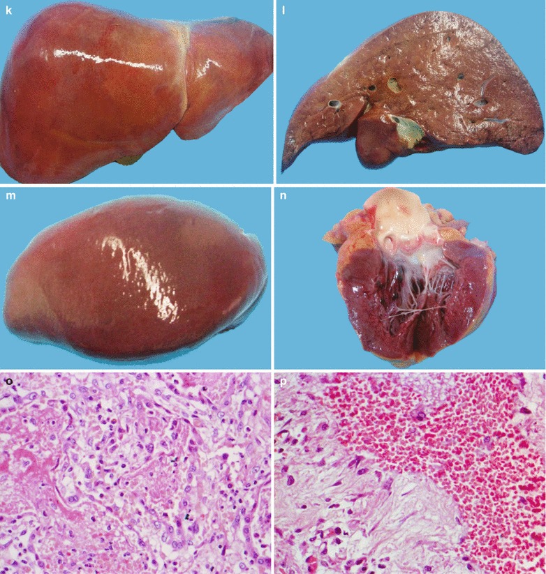 Fig. 22.32