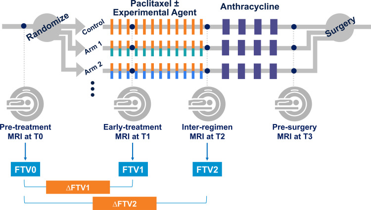 Schematic shows study protocol. Participants were randomly assigned to one of 10 neoadjuvant drug arms (nine experimental drug arms and one standard-of-care control arm). Each participant underwent MRI examination at four treatment time points (T0, T1, T2, T3) during neoadjuvant chemotherapy. FTV0, FTV1, FTV2 = functional tumor volume at T0, T1, and T2, respectively; ΔFTV1, ΔFTV2 = percentage change of functional tumor volume relative to T0 at T1 and T2, respectively.