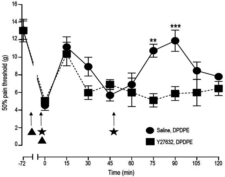 Fig. 7