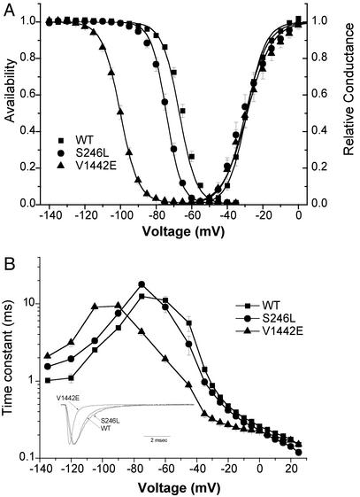 Fig. 5.