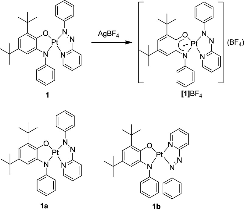 Scheme 2