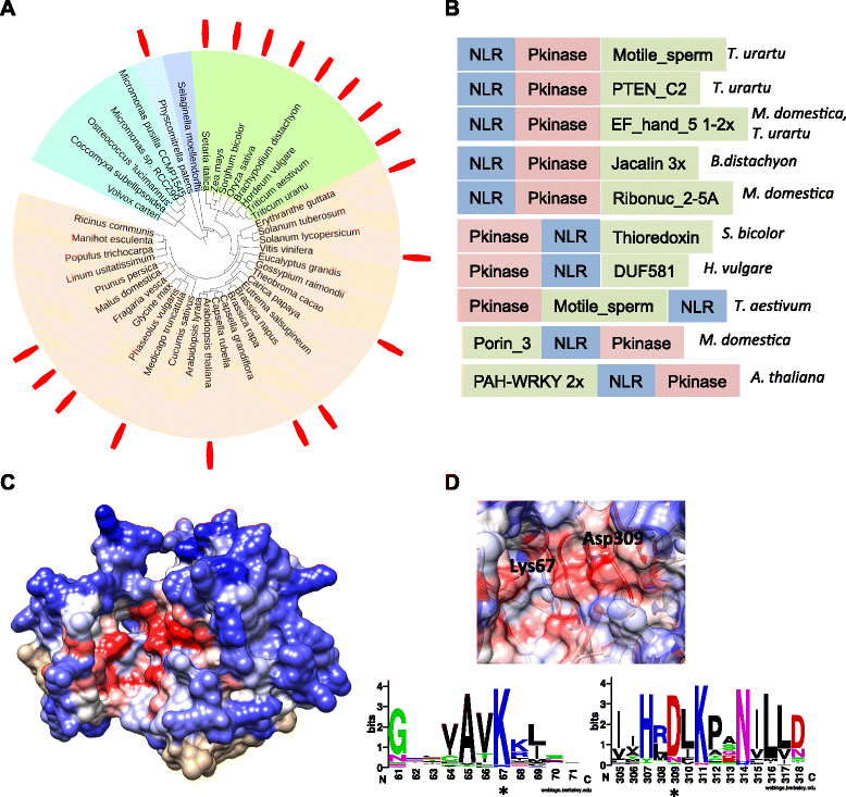 Fig. 4