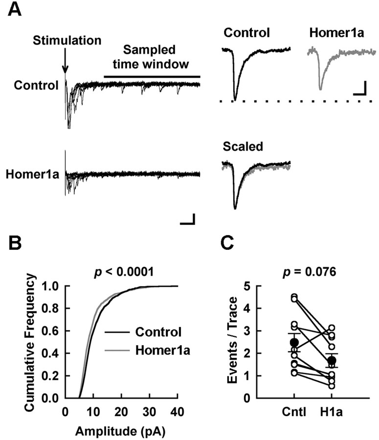 Figure 11.