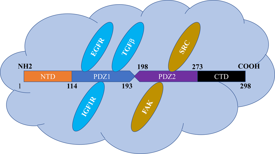 Figure 1: