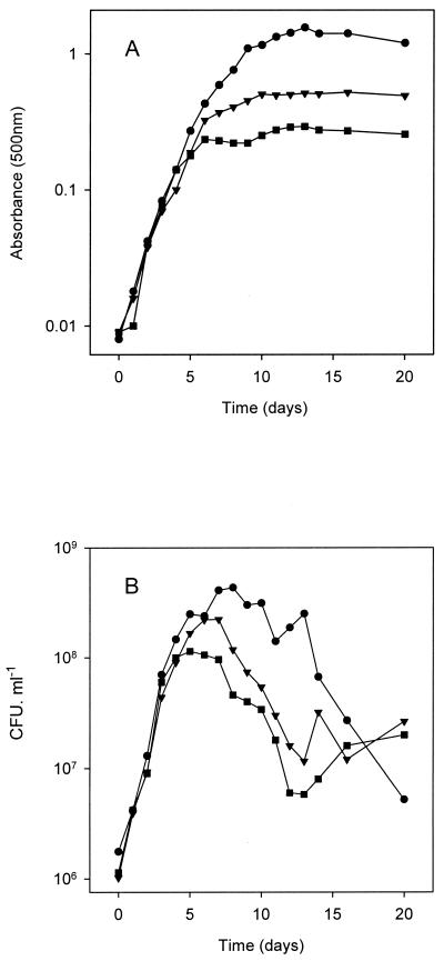 FIG. 1