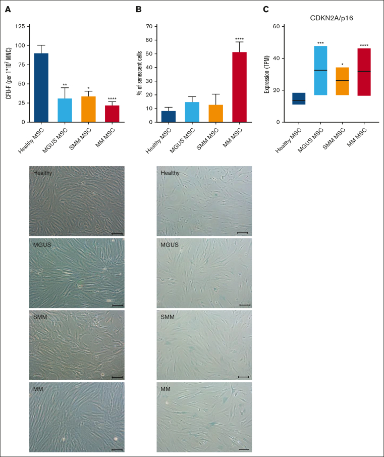 Figure 4.