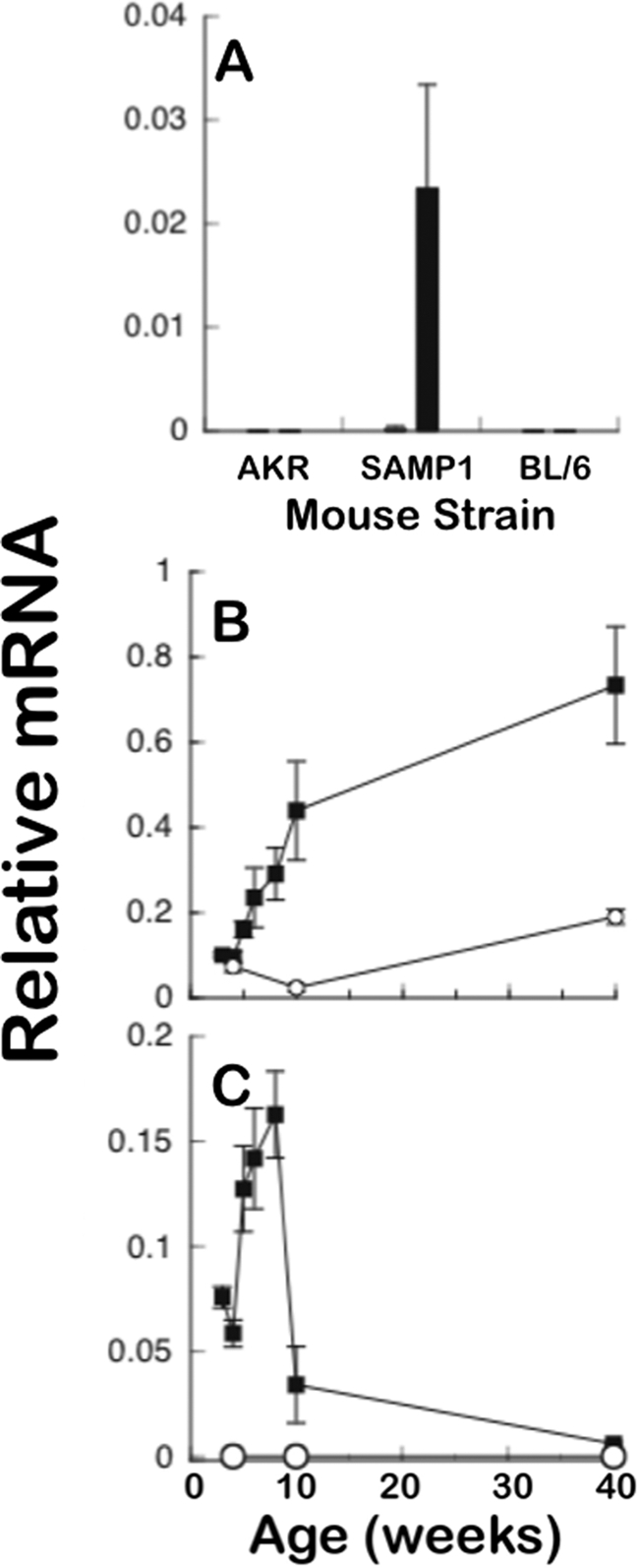 FIGURE 1.