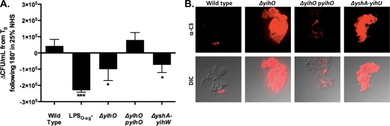 FIG 4