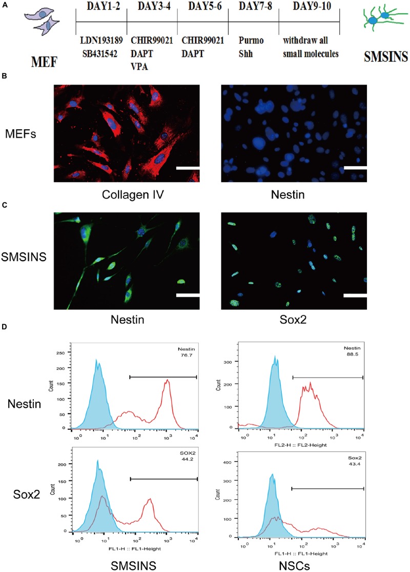 FIGURE 1