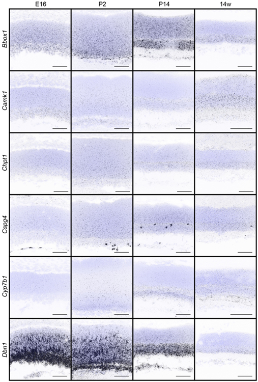 Figure 3.