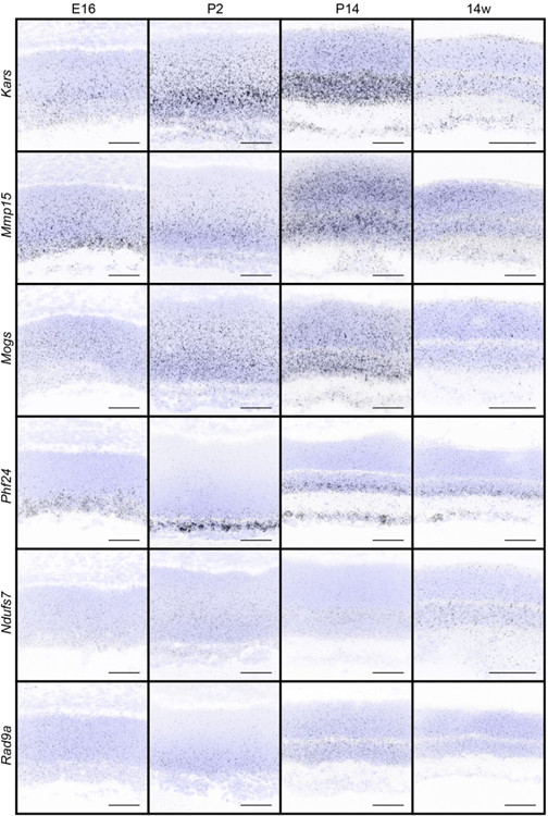 Figure 3.