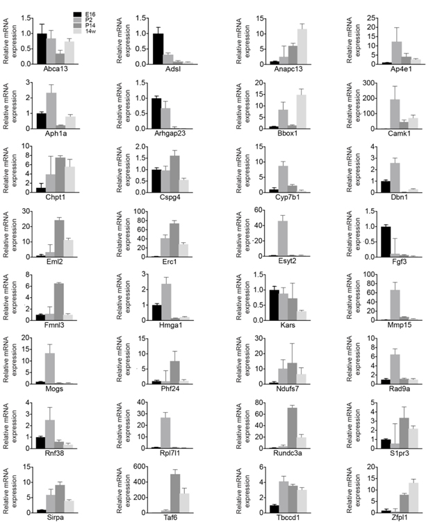 Figure 4.