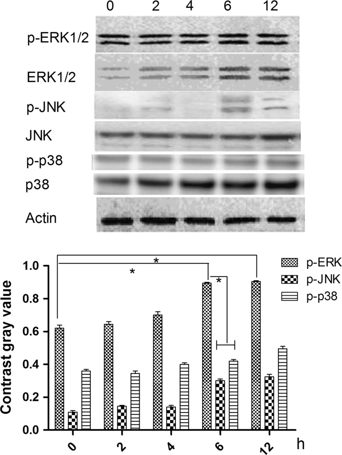 Fig. 3