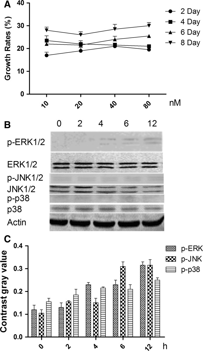 Fig. 6