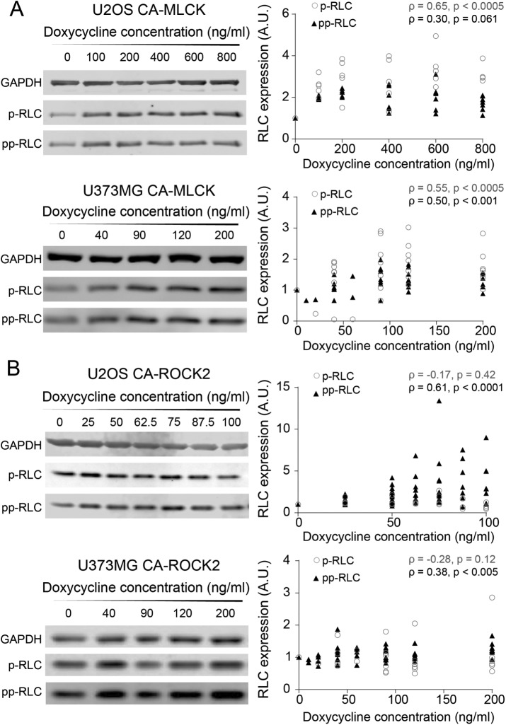 FIGURE 3: