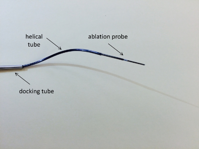 FIGURE 1.