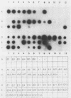 163