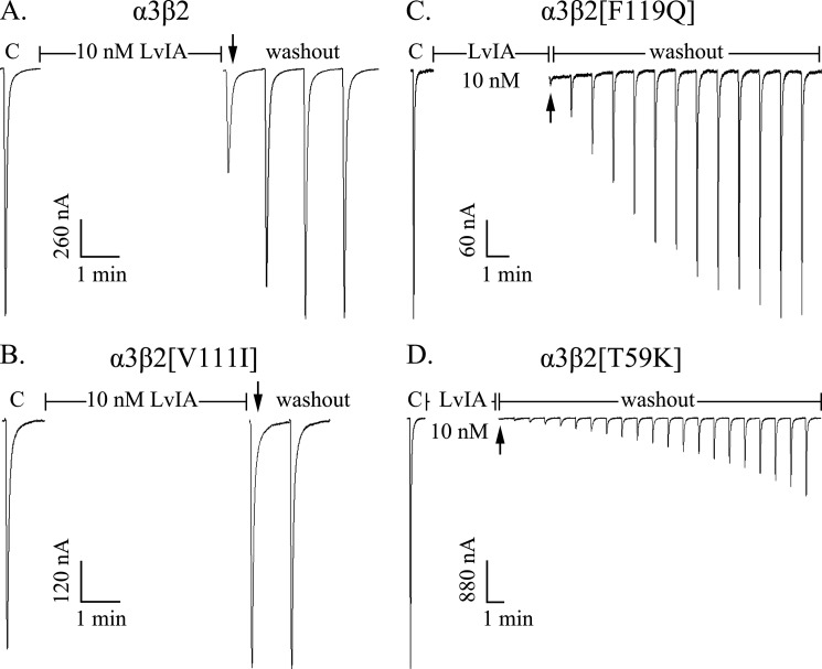 FIGURE 4.