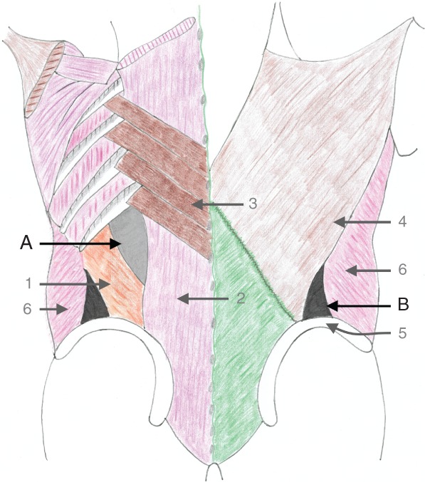 BJS5-50252-FIG-0003-c