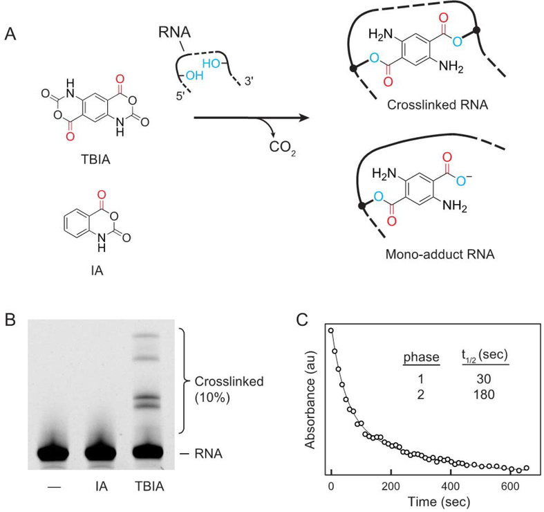 Figure 2: