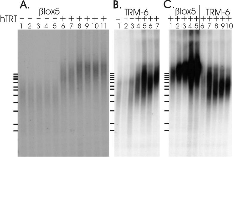 FIG. 5