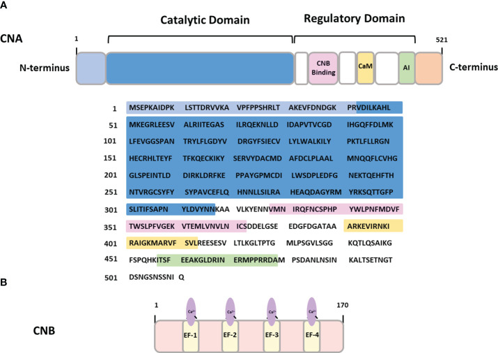 Figure 1