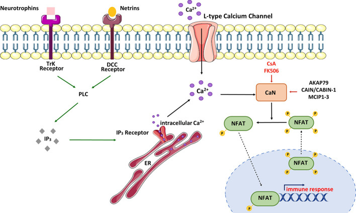 Figure 3