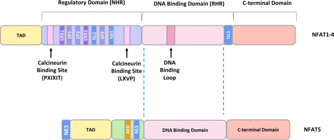 Figure 2