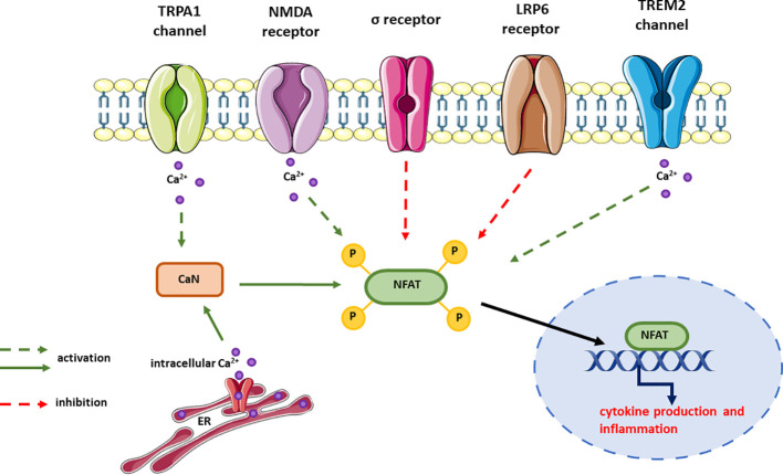 Figure 6