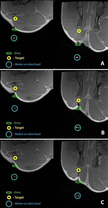 Figure 19