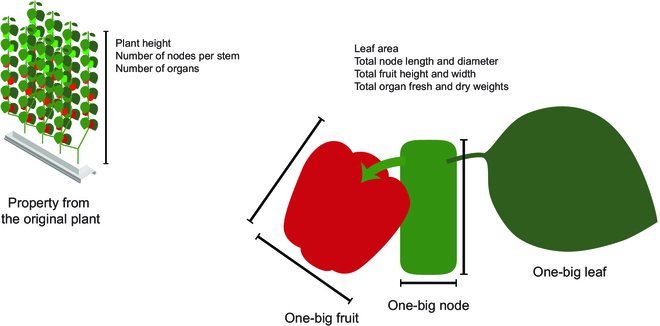 Fig. 2.