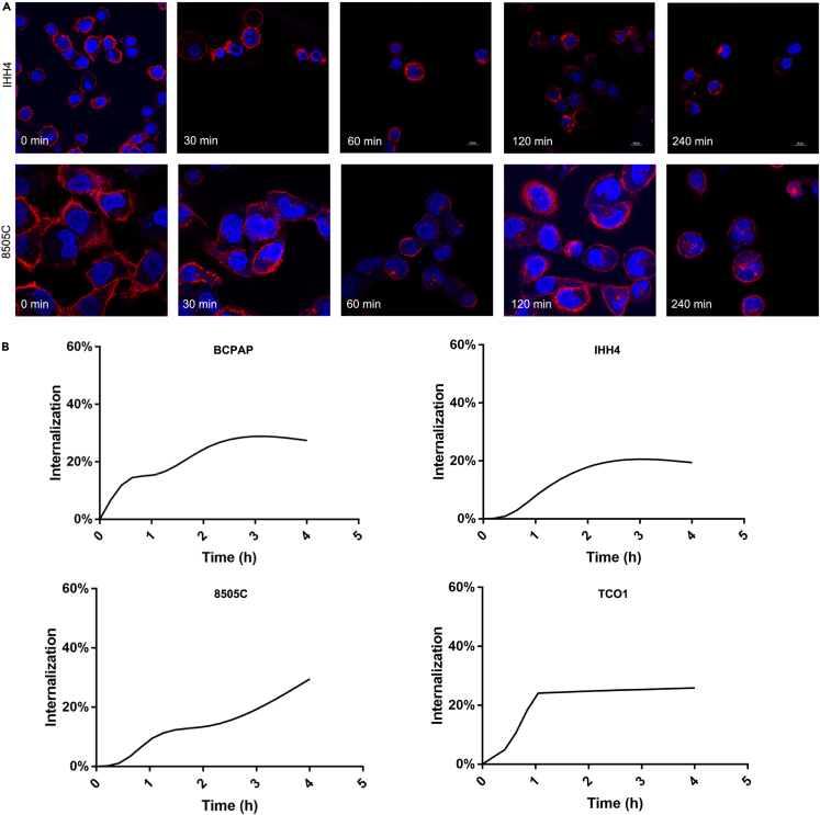 Figure 3