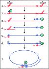 Fig. 1.