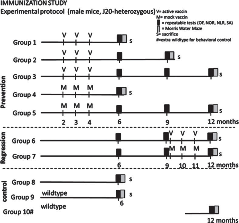 Fig.1