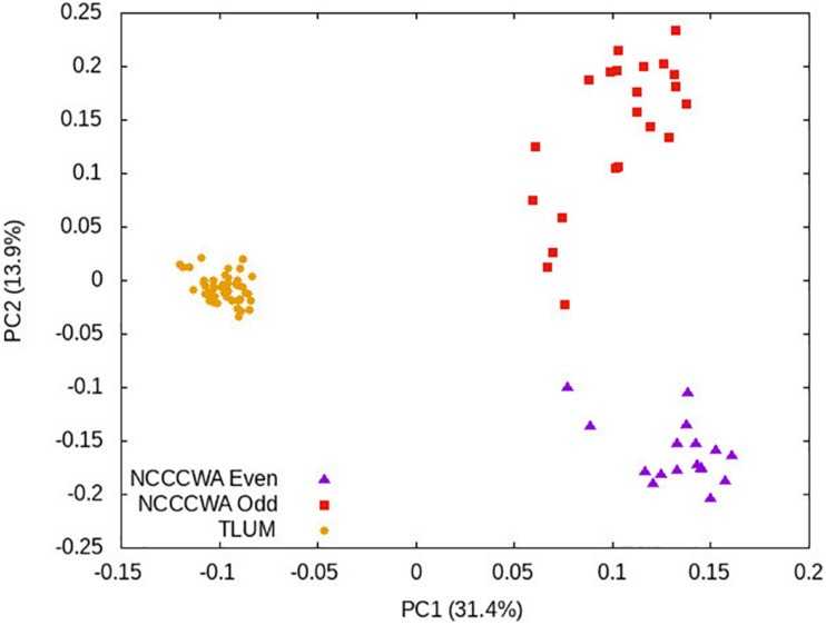 FIGURE 2