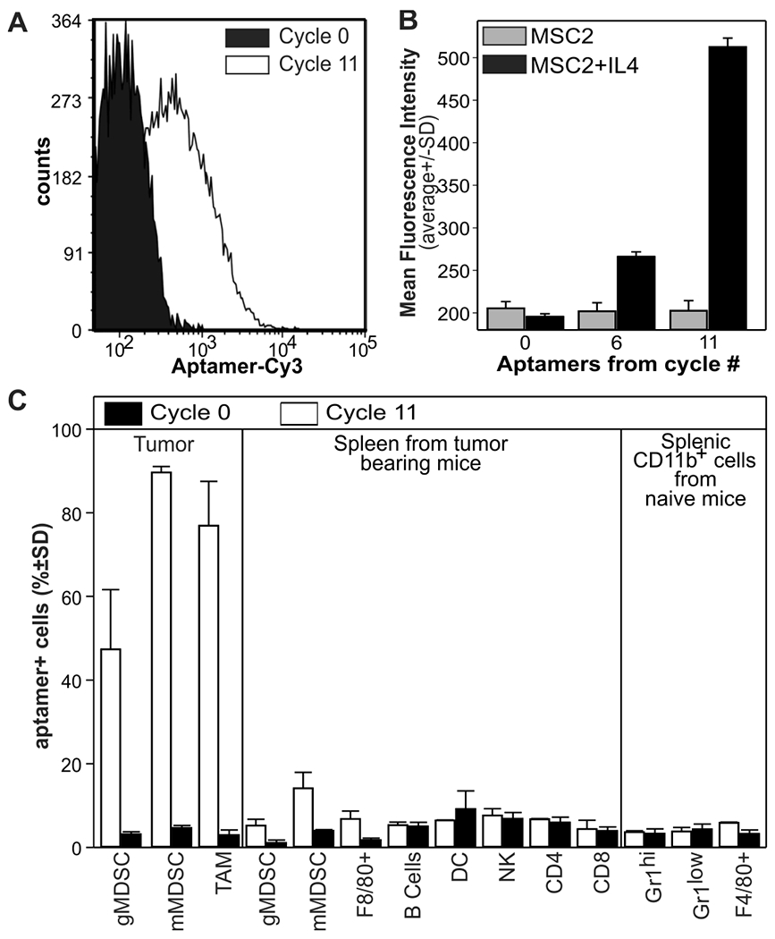 Figure 1: