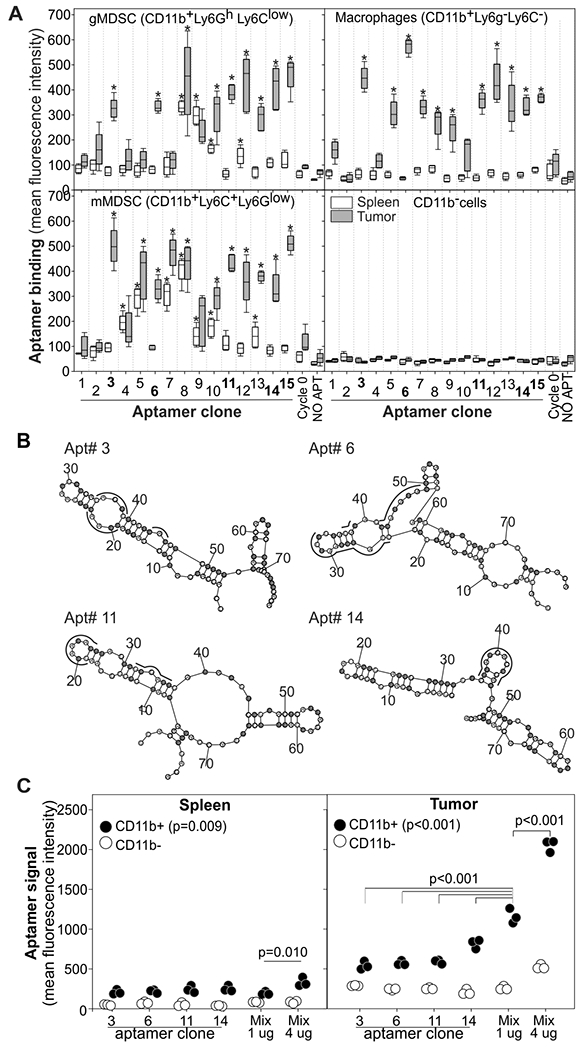 Figure 2: