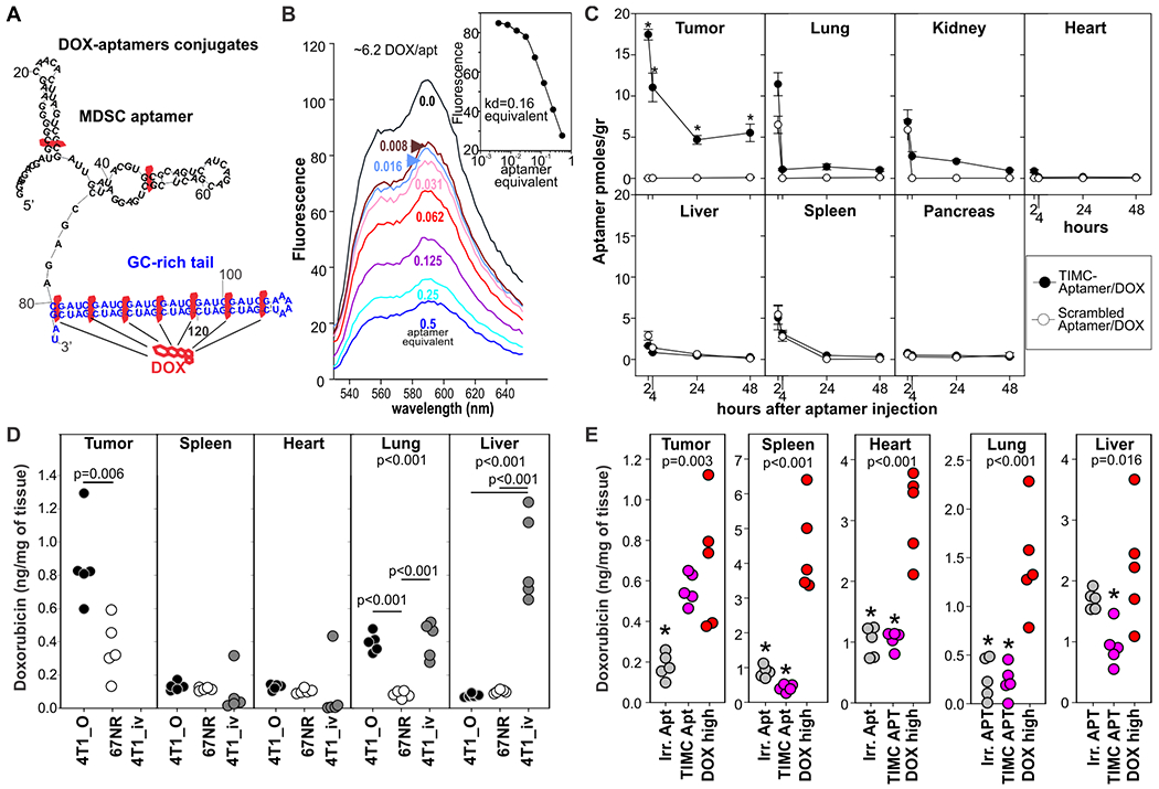 Figure 6: