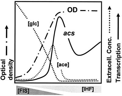 FIG. 10.