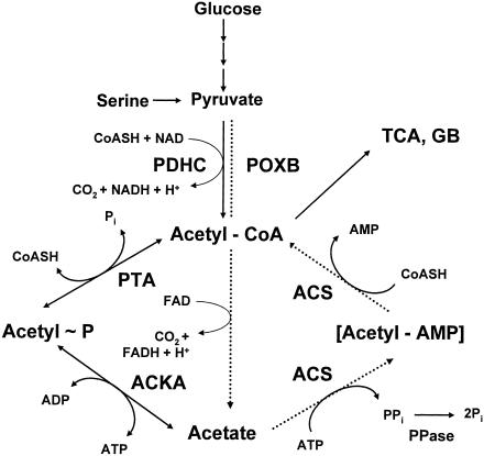 FIG. 5.