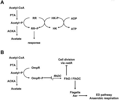 FIG. 7.