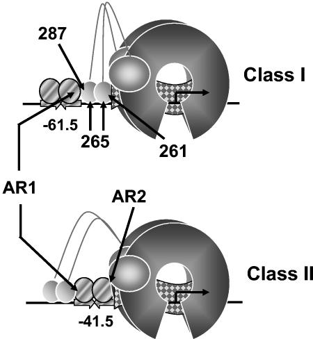 FIG. 12.