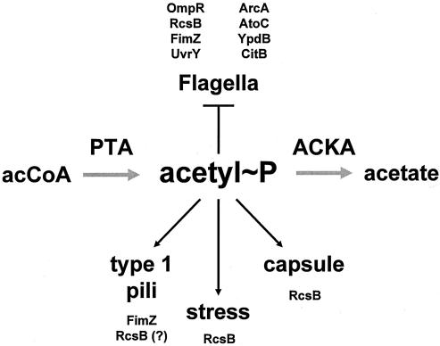 FIG. 8.